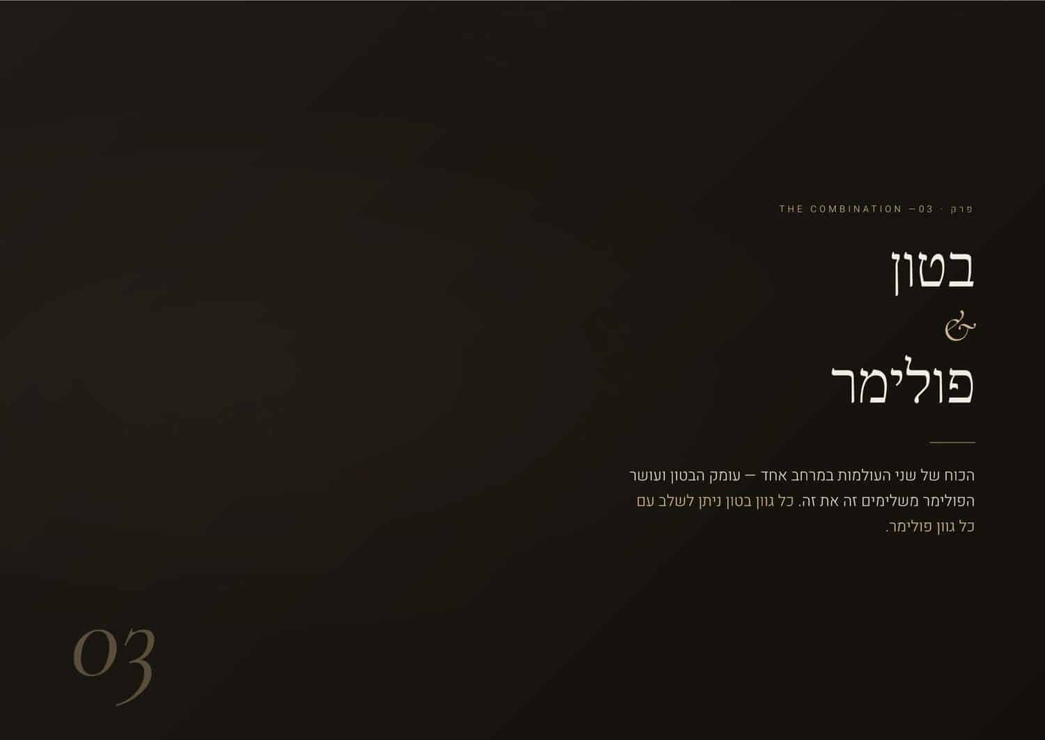 עמוד 13